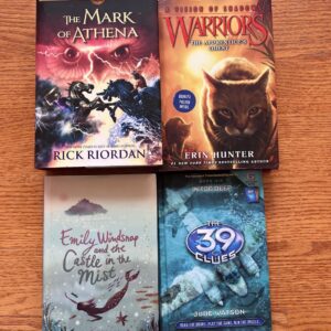 4 Books from Wildly Popular Series for ages 8 and up