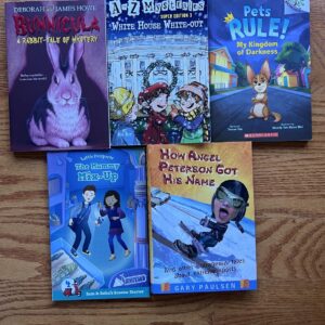 5 Chapter Books That Kids Love