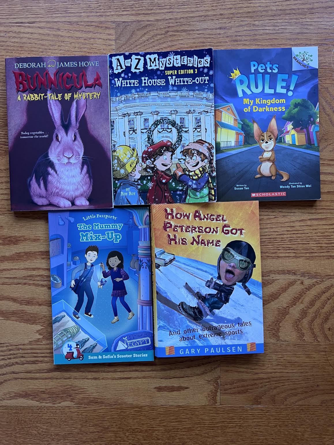 5 Chapter Books That Kids Love
